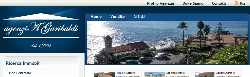 Sito per Agenzia Immobiliare Professional con Gestionale