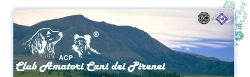 Hotel del Golfo