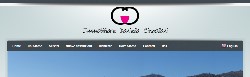 Sito per Agenzia Immobiliare Professional con Gestionale