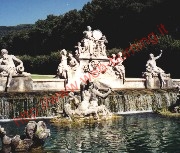 Posizionamento e iscrizione nei motori di ricerca a Caserta