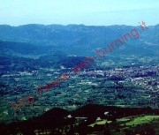 Posizionamento e iscrizione nei motori di ricerca a Isernia