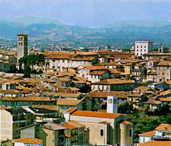 Posizionamento e iscrizione nei motori di ricerca a Rieti