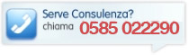 Consuleza Telefonica